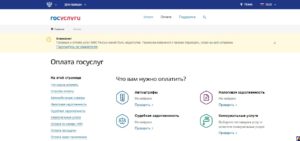 Можно ли через госуслуги оплатить налог