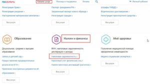 Можно ли через госуслуги оплатить налог
