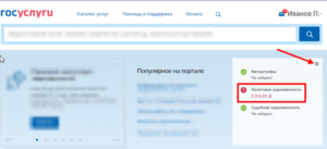 Можно ли через госуслуги оплатить налог