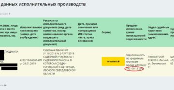 Почему исполнительного производства нет в базе данных Почему исполнительного производства нет в базе данных