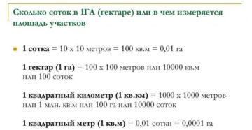 1 гектар это сколько на сколько 1 гектар это сколько на сколько