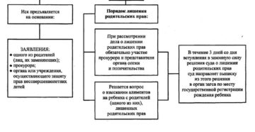 Лишение родительских прав иностранного гражданина судебная практика
