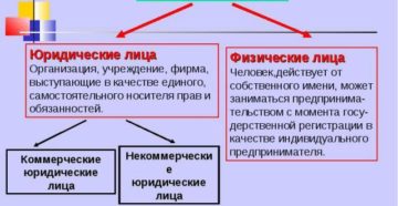 Ип какое лицо физическое или юридическое Ип какое лицо физическое или юридическое