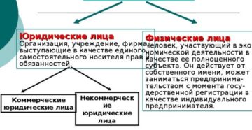 Ип считается физическим или юридическим лицом Ип считается физическим или юридическим лицом