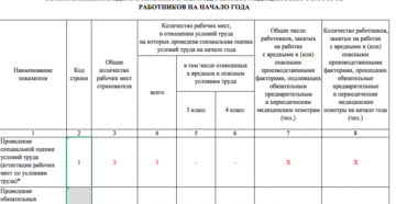 Общие сведения о рабочих местах заполненный образец