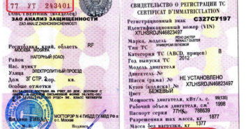 Что делать если нет стс на машину Что делать если нет стс на машину