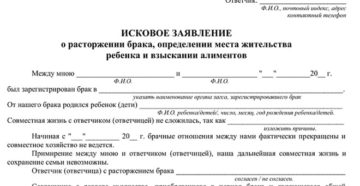 Заявление на развод алименты и определение места жительства ребенка Заявление на развод алименты и определение места жительства ребенка