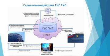 Что такое статус в гис гмп