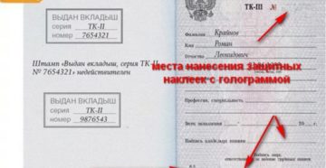 Трудовая книжка нового образца с голограммой