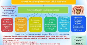 Как оформить региональный статус неполной семьи Как оформить региональный статус неполной семьи