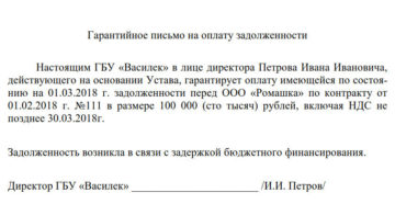 Гарантийное письмо по оплате задолженности образец Гарантийное письмо по оплате задолженности образец