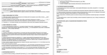 Договор займа между ип и ооо процентный