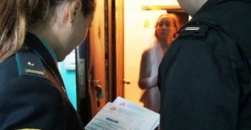 Имеют ли право приставы забрать собаку за долги 2019