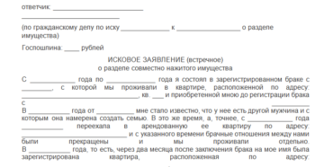 Госпошлина за исковое заявление о разделе совместно нажитого имущества Госпошлина за исковое заявление о разделе совместно нажитого имущества