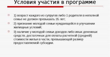 Государственные программы по поддержке неполных семей