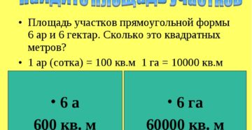 Сколько кв м в 1 га земли Сколько кв м в 1 га земли