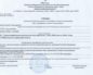 Сколько времени делают справку об отсутствии судимости