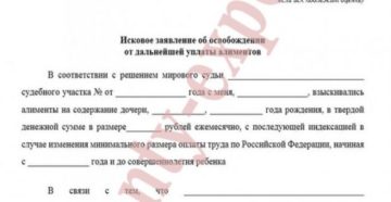 Заявление об освобождении от уплаты задолженности по алиментам