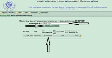 Регистрационный номер в фсс сколько цифр